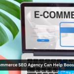 ecommerce seo agency