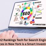 organic search engine optimization